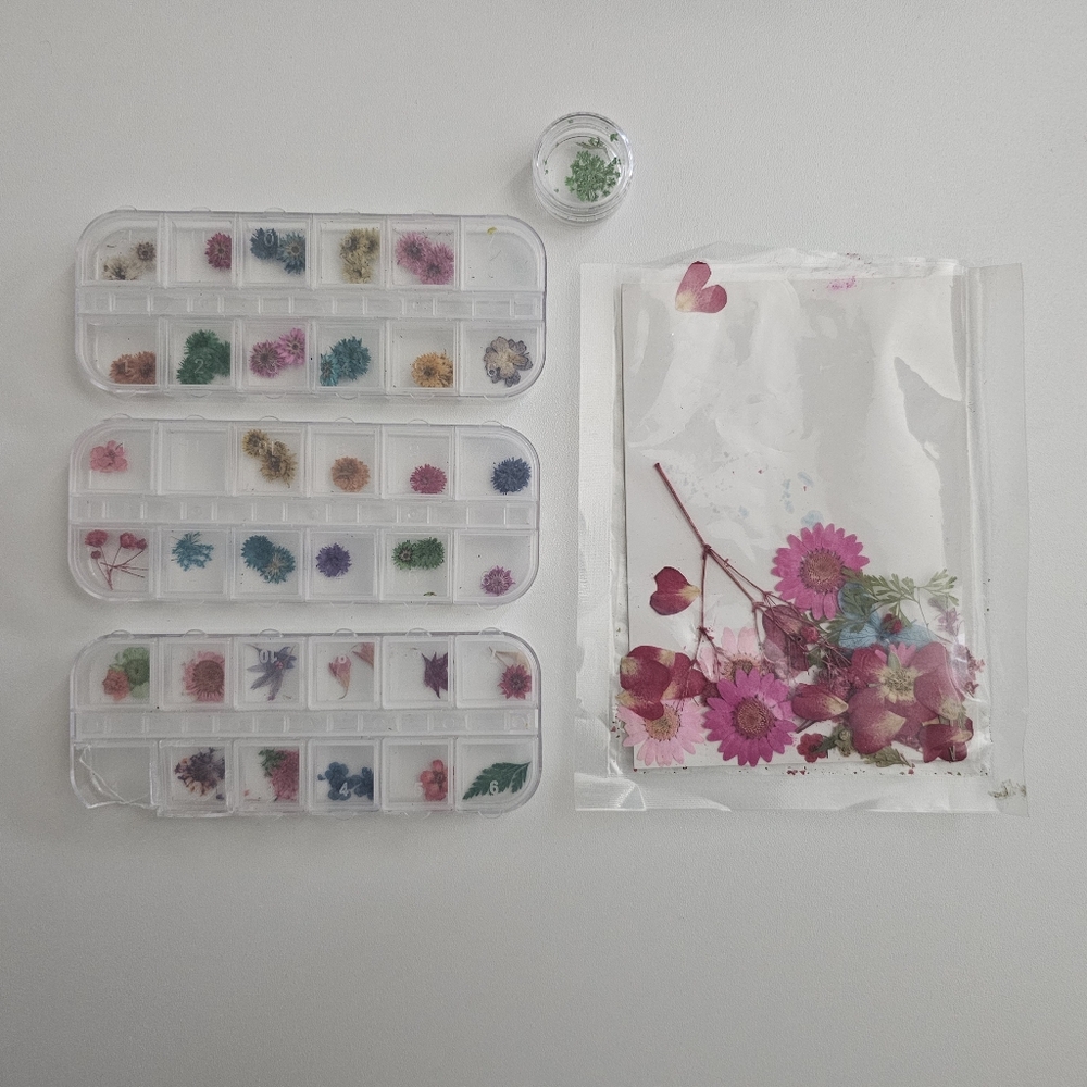 Pressed Flowers Art Decoration Set